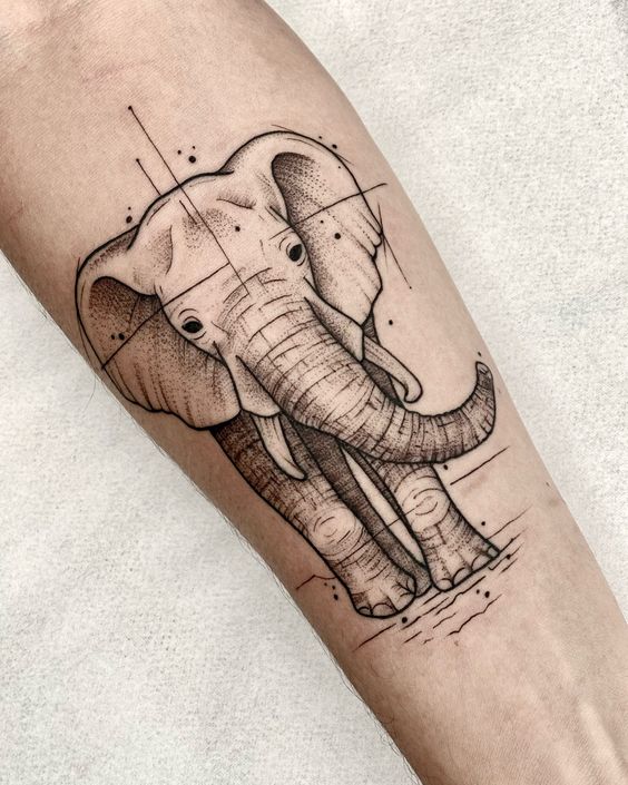 Elephant tattoo on the forearm for women