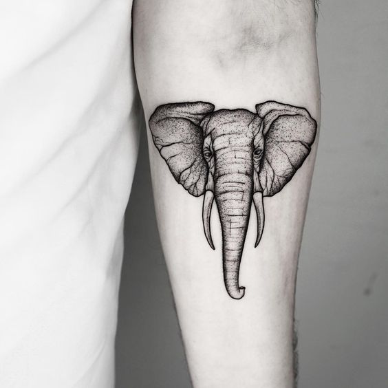 Elephant tattoo on the forearm for men