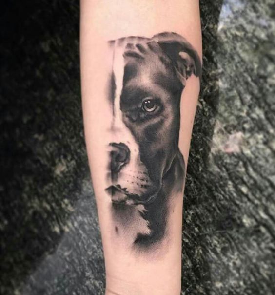 Pit bull tattoo on the forearm for women