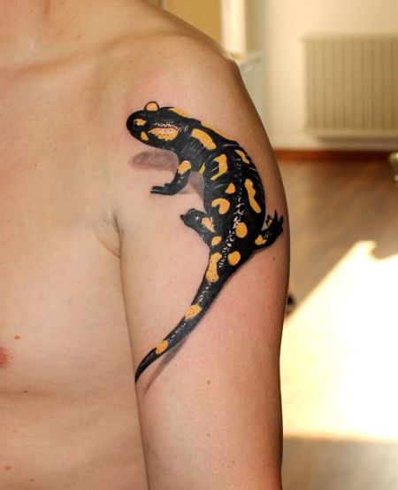 Salamander tattoo on the shoulder for men