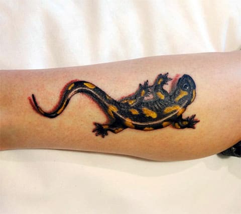 Salamander tattoo on forearm for women