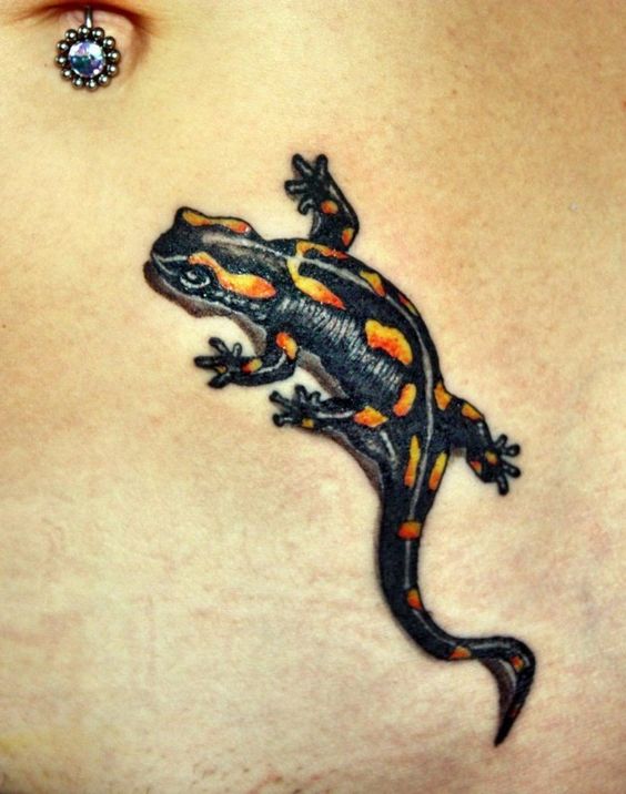 Tattoo of a salamander on the stomach for women