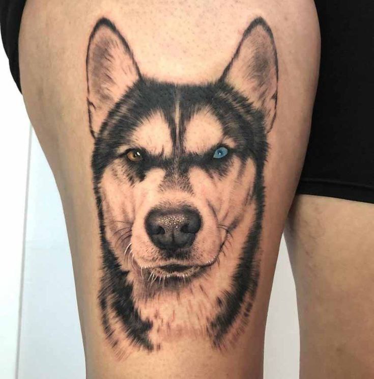 Husky tattoo on the hip for men