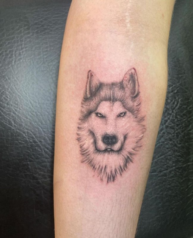 Husky tattoo on the forearm for women