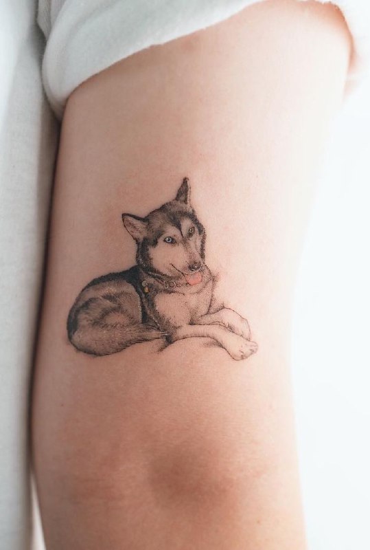 Husky tattoo on the shoulder for women