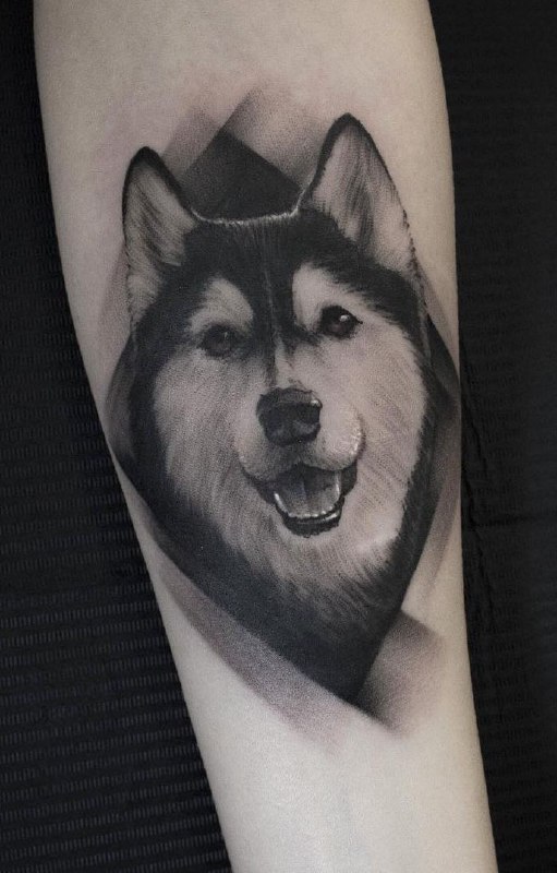 Husky tattoo on the forearm for men