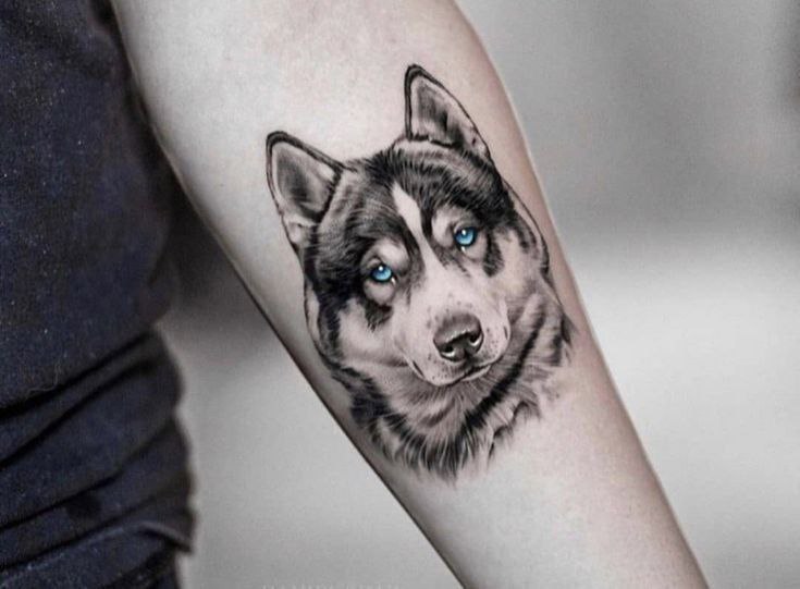 Husky tattoos: creative ideas that will help you stand out from the ...