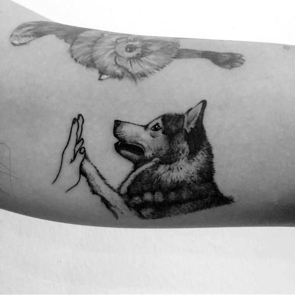 Husky tattoo on the arm for women