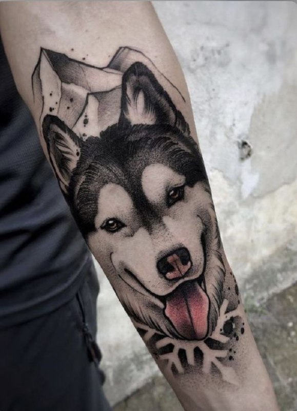 Husky tattoo on the forearm for men