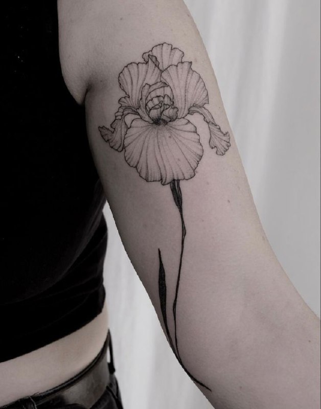 Iris tattoo on the shoulder for women