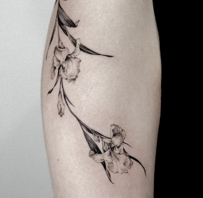 Iris tattoo on the shoulder for women