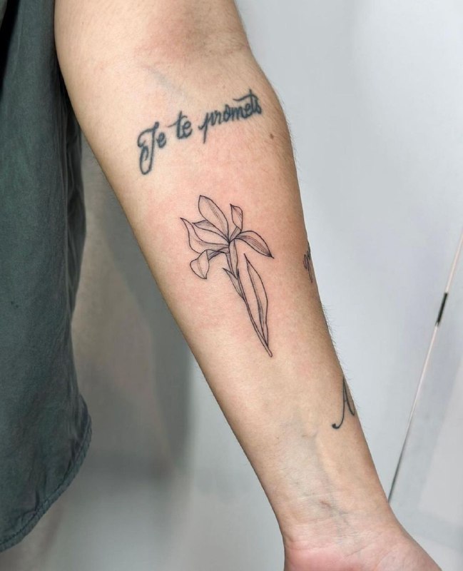 Iris tattoo on the forearm for men