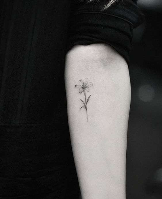 Lily tattoo on forearm for women