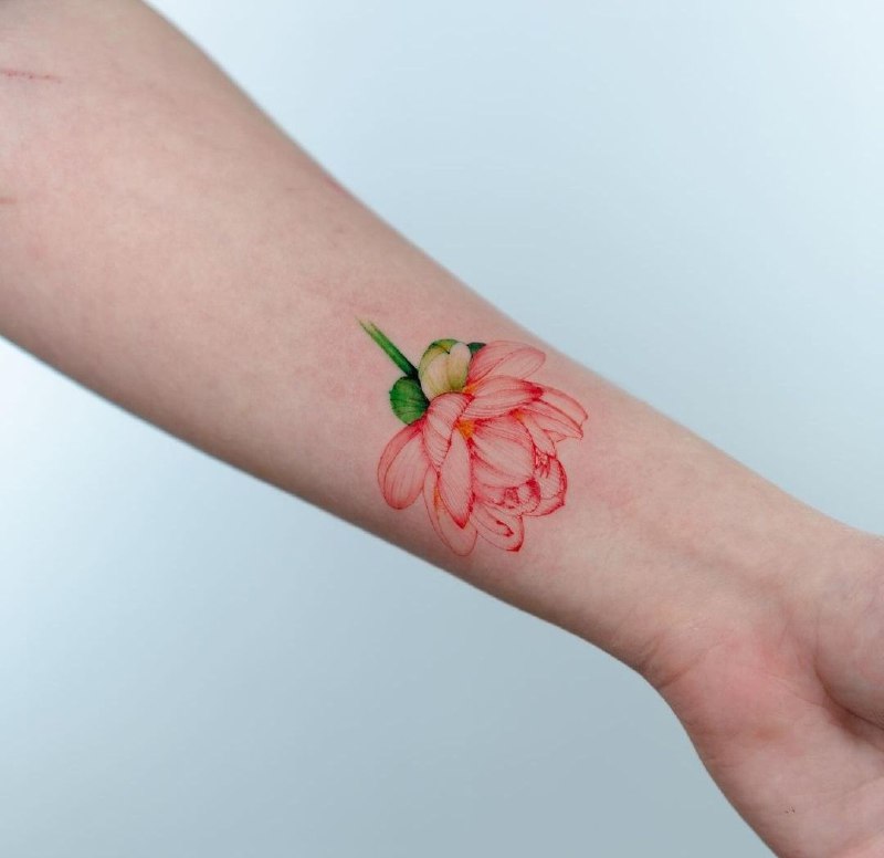 Colored lotus tattoo on the forearm for women