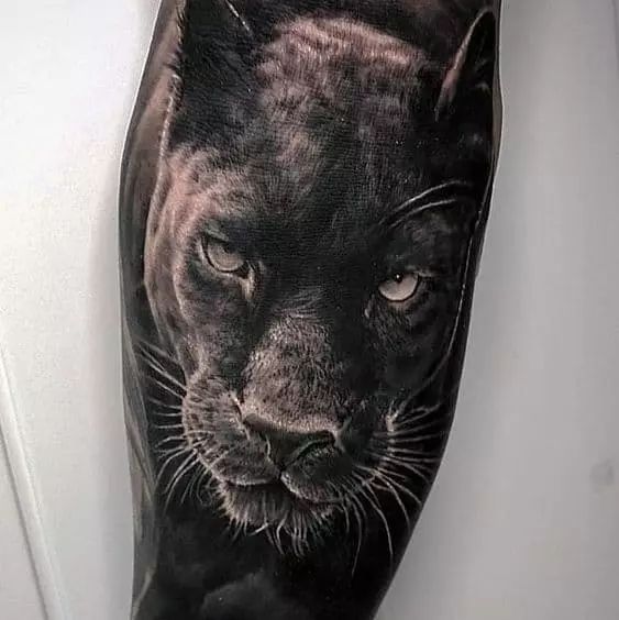 Panther tattoo on the leg for men