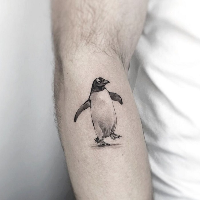 Tattoo of a penguin on the forearm for men