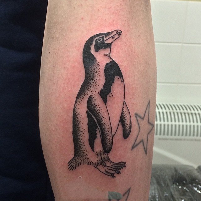 Tattoo of a penguin on the arm for men