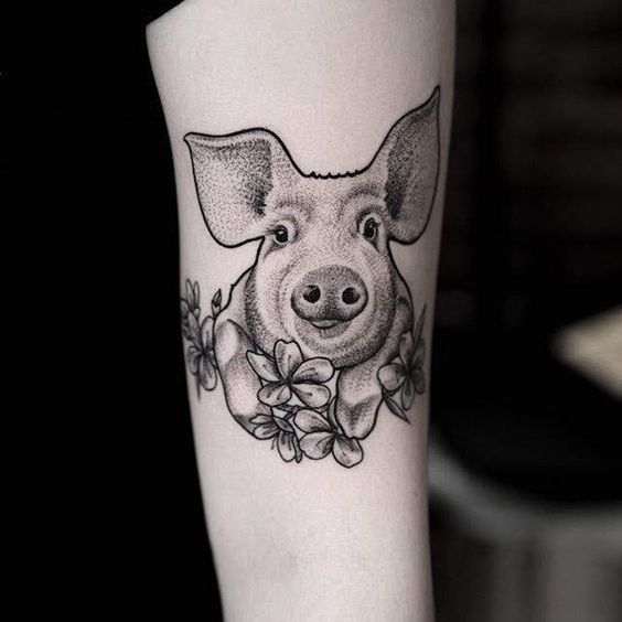 Pig tattoo on the shoulder for women