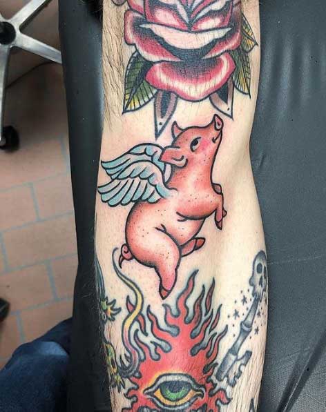 Pig tattoo on the arm for men