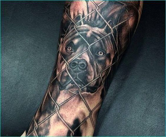 Pit bull tattoo on the forearm for men