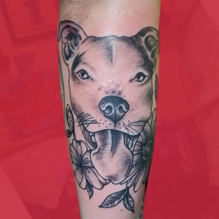 A pit bull tattoo on the forearm for men