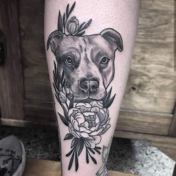 Pit bull tattoo on the calf for men