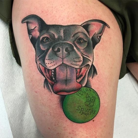 Pit bull tattoo on the hip for women