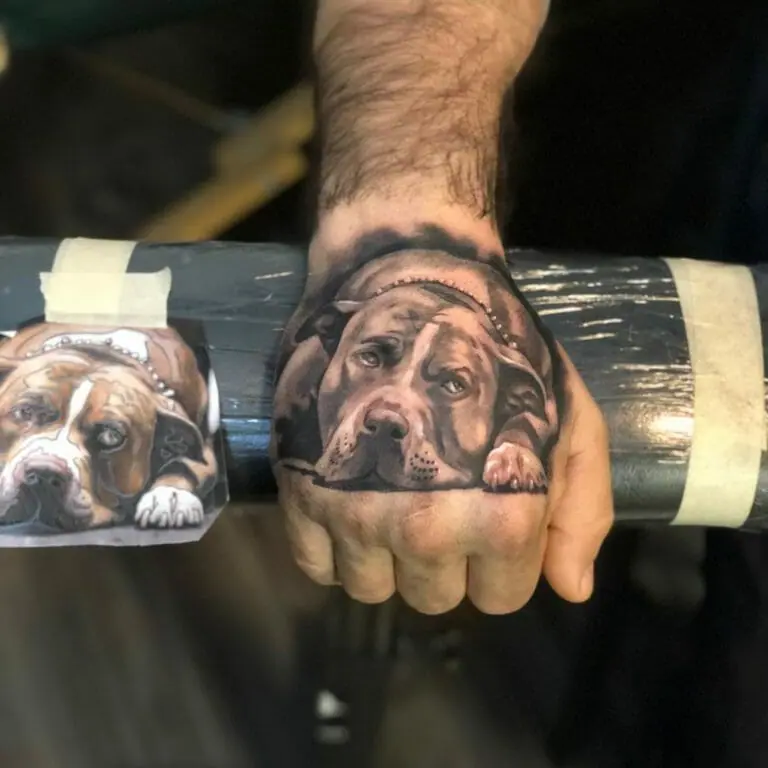 Pit bull tattoo on the hand for men