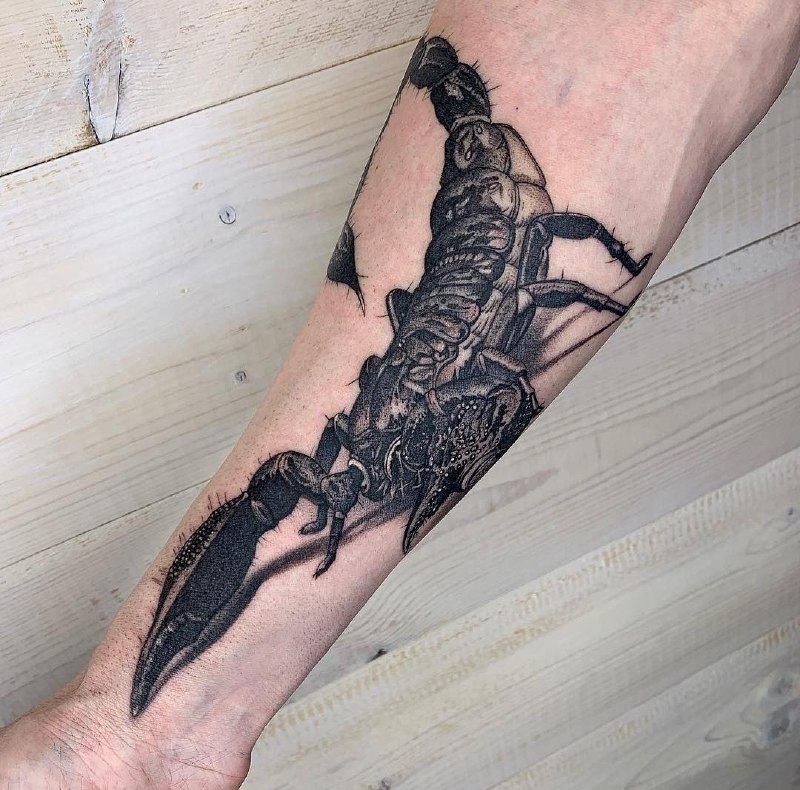 Tattoo of a scorpion on the forearm for men