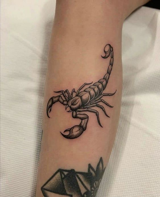 Tattoo of a scorpion on the shin for women