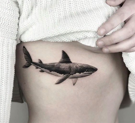 Large shark tattoo on the abdomen for women