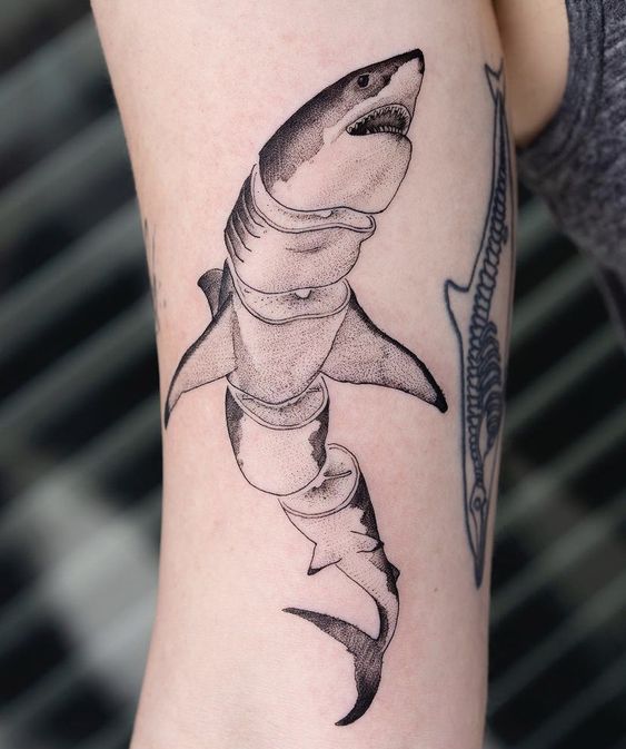 Large shark tattoo on the shoulder for men