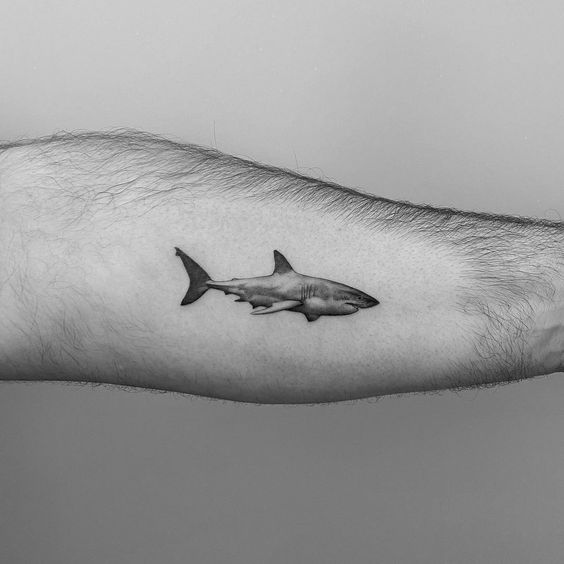 Shark tattoo on forearm for men