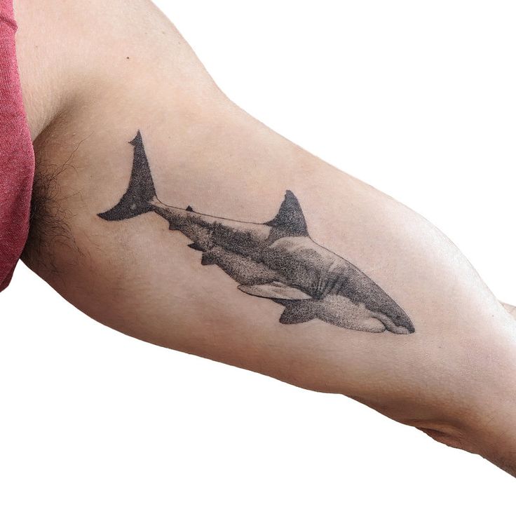 Shark tattoo on the shoulder for men