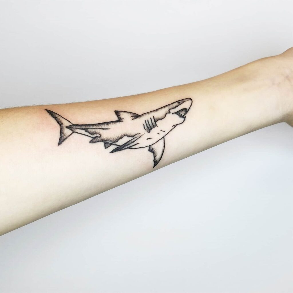 Shark tattoo on forearm for men