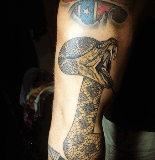 Rattlesnake tattoo on the arm for men