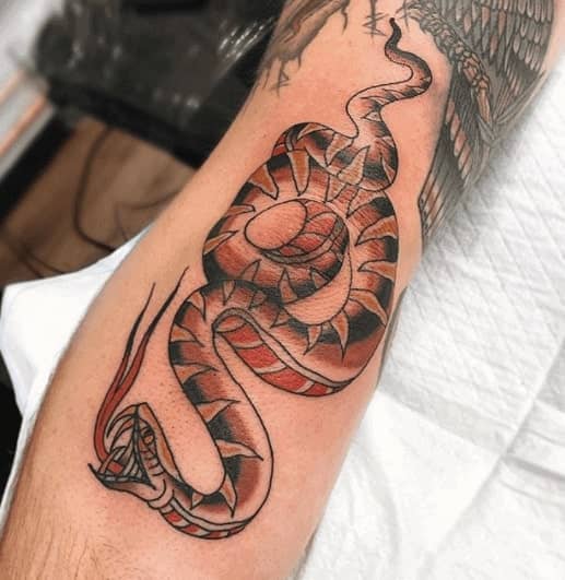 Snake tattoo on the shin for men