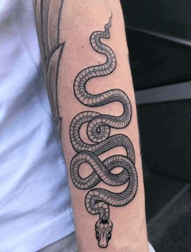 Snake tattoo on the forearm for men