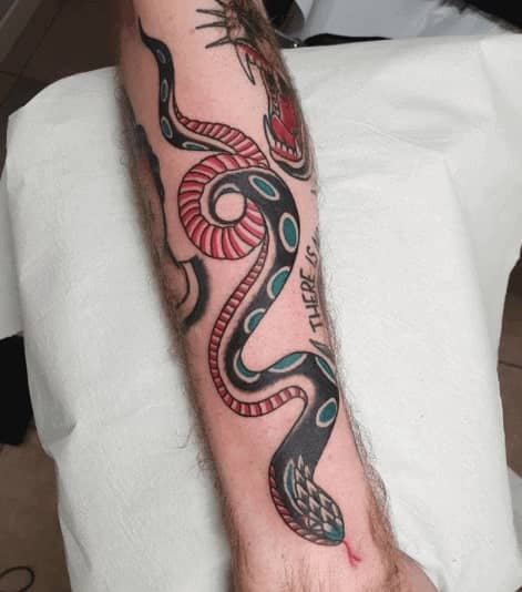 Snake tattoo on the forearm for men