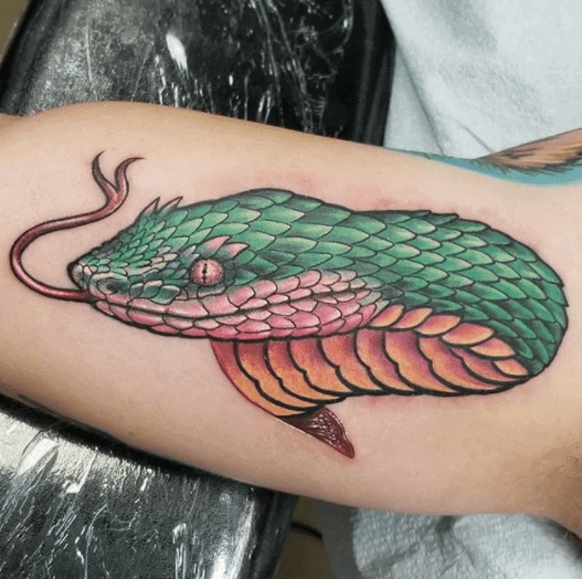 Tattoo of a colored snake head on the biceps for men