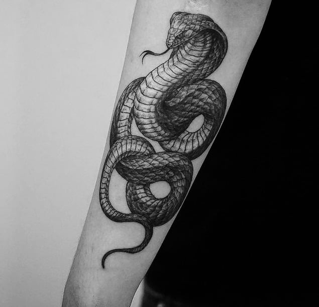 Snake tattoo on the forearm for men