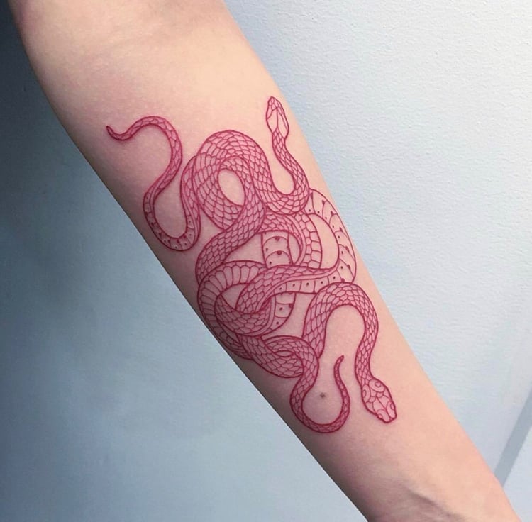 Snake tattoo on the forearm for women