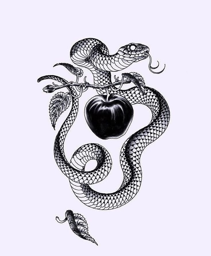 Sketch of a snake tattoo for women