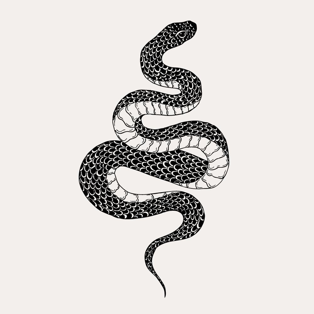 Sketch of a snake tattoo for women