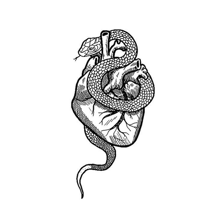 Sketch of a snake tattoo for women