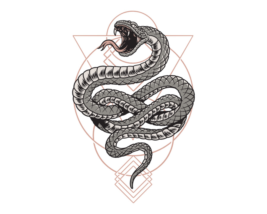 Sketch of a snake tattoo for women