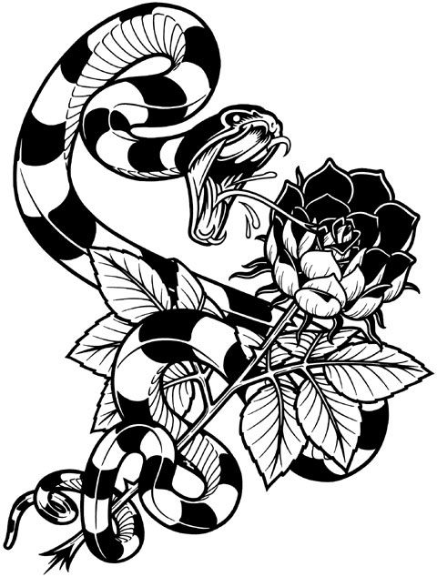 Sketch of a snake tattoo for women