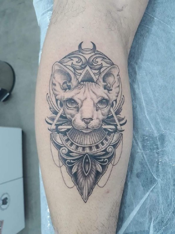 Tattoo of a sphinx on the calf for men