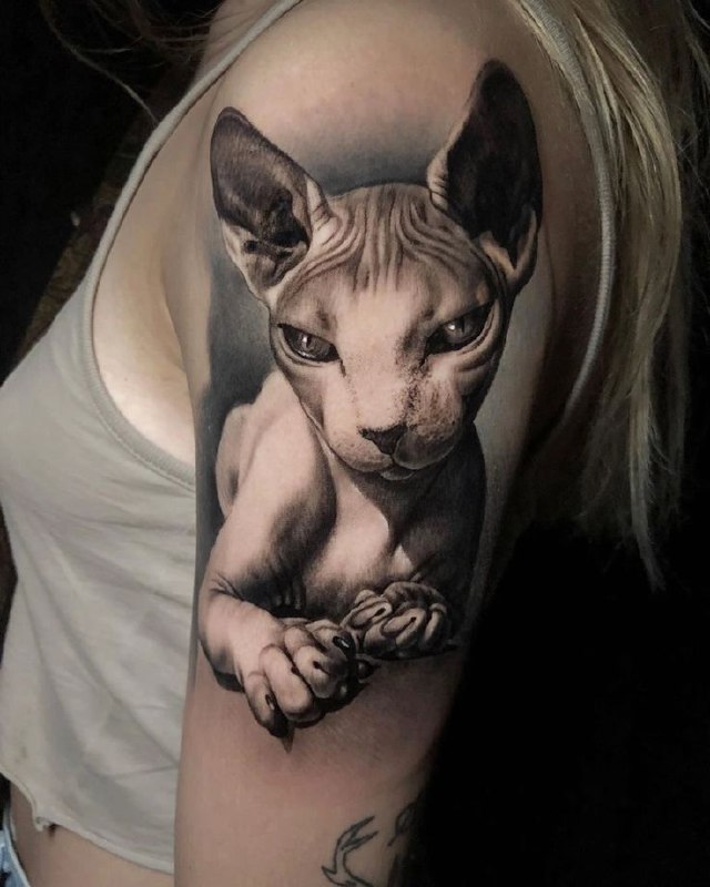 Tattoo of a sphinx on the shoulder for women