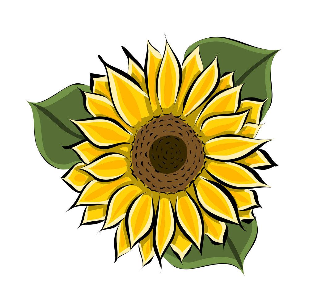 Color sketch of a sunflower tattoo